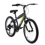 Alpina MTB 20''x11 7ταχ. S ανθρακί/πράσινο