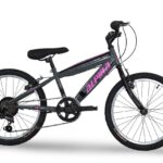 Alpina MTB 20''x11 7ταχ. S ανθρακί-ροζ