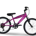 Alpina MTB 20''x11 7ταχ. S μωβ-ροζ