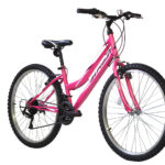 Alpina Alpha MTB 26x14.5 Ροζ