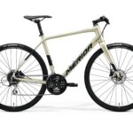 SPEEDER 100 Silk Champagne (Black)