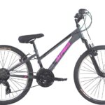 Alpina 24'' MTB 21ταχ. ανθρακί-ροζ